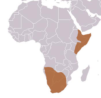 Aardwolf Range Map (East & South Africa)
