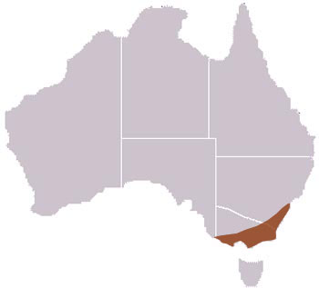 Agile Antechinus Range Map (Australia)