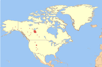 American Bison Range Map (USA & Canada)