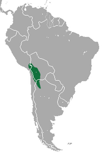 Andean Hairy Armadillo Range Map (South America)