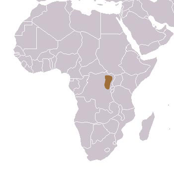 Aquatic Genet Range Map (Africa)