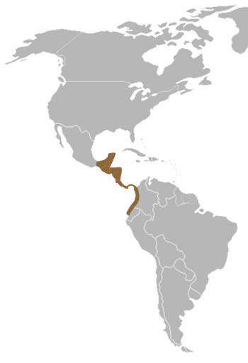 Baird's Tapir Range Map (C & S America)