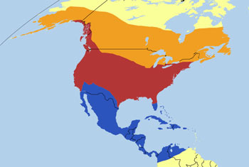 Belted Kingfisher Range Map (N, C & S America)