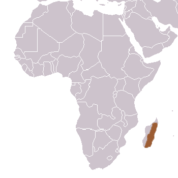 Black & White Ruffed Lemur Range Map (Madagascar)