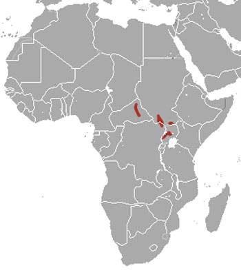 Bunyoro Rabbit Range Map (Africa) 