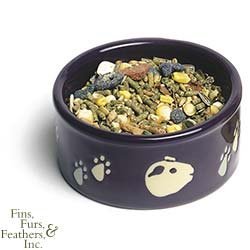 Ceramic Feeder For Guinea Pigs