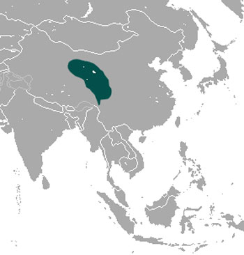 Chinese Red Pika Range Map (China)