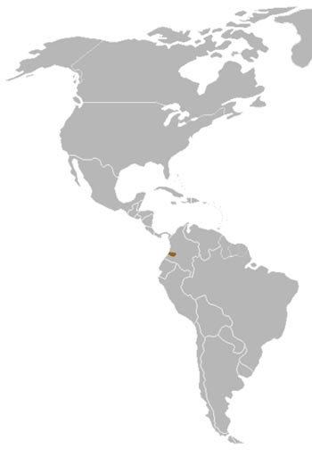 Colombian Weasel Range Map (Colombia, S America) 