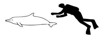 The size of a Costero compared to an average human