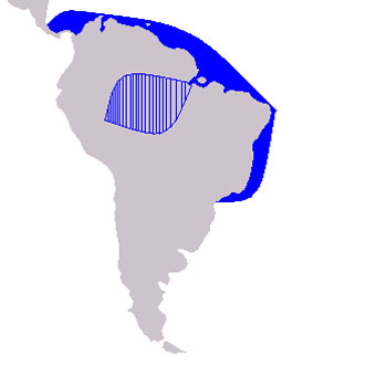 Costero Range Map (Coastal Waters - South America)