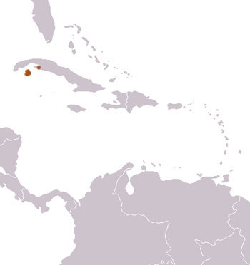 Cuban Crocodile Range Map (Cuba, Caribbean)