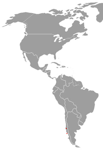 Darwin's Fox Range Map (South America)