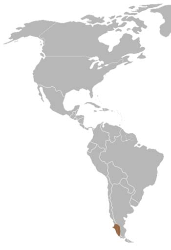 Darwin's Frog Range Map (South America)