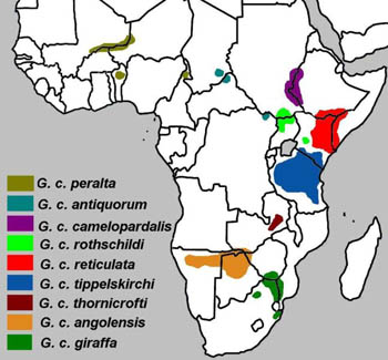 Giraffe Range Map (Africa)