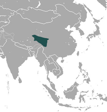 Glover's Pika Range Map (China, Asia)