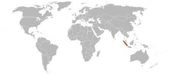Indonesian Mountain Weasel Range Map (S E Asia)