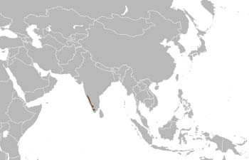 Jerdon's Palm Civet Range Map (India)
