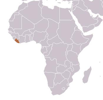 Liberian Mongoose Range Map (Africa)