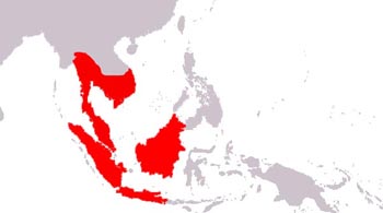 Malayan Flying Lemur Range Map (South East Asia)