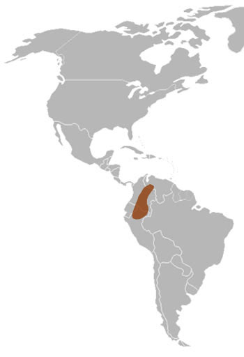 Mountain Coati Range Map (South America)