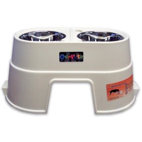 Our Pets Healthy Pet Diner The Animal Files