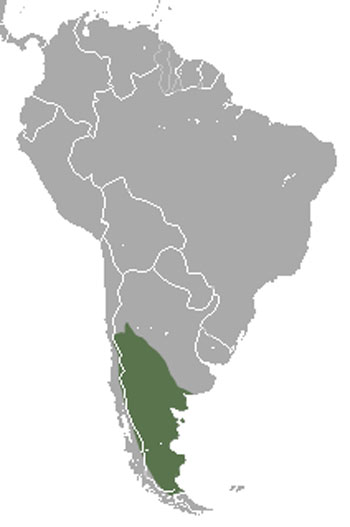 Pichi Range Map (South America)