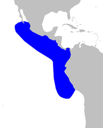 Pygmy Beaked Whale Range Map (Pacific Ocean)