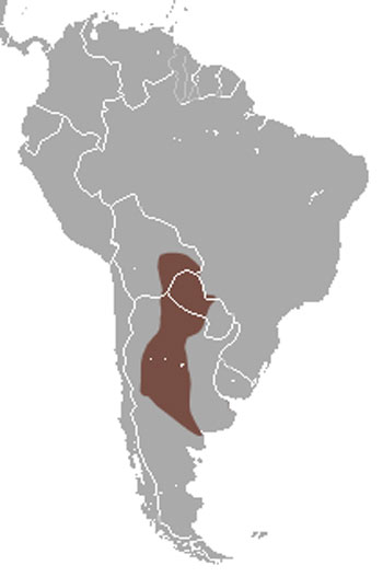 Screaming Hairy Armadillo Range Map (South America)