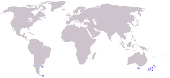 Shepherd's Beaked Whale Range Map (Waters in the Southern Hemisphere)