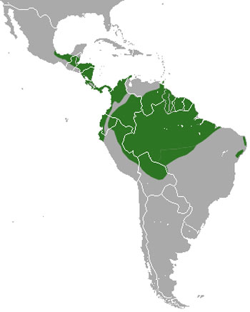 Silky Anteater Range Map (C & S America)