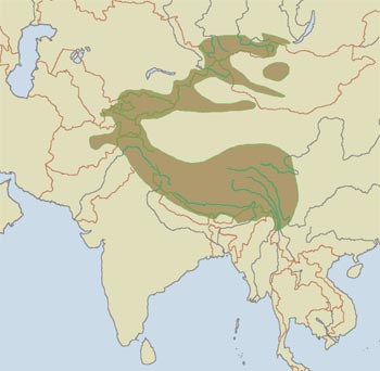 Snow Leopard Range Map (Central, South & East Asia)