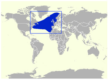 Sowerby's Beaked Whale Range Map (North Atlantic Ocean)