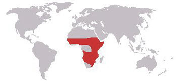Spotted Hyena Range Map (Africa)