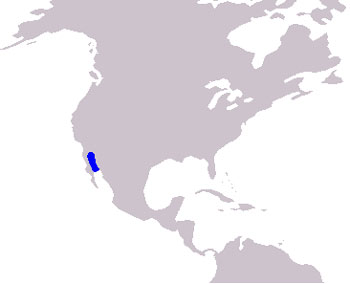 Vaquita Range Map (Gulf of California)