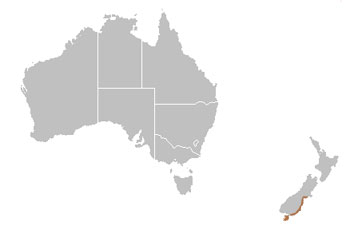 Yellow-Eyed Penguin Range Map (New Zealand)