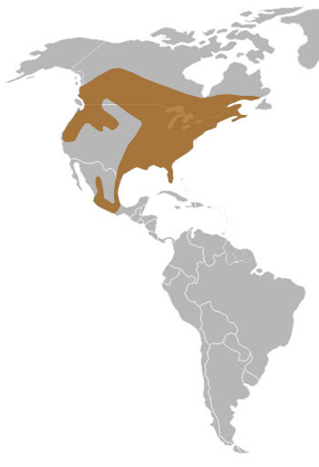 Barred Owl Range Map (North America)