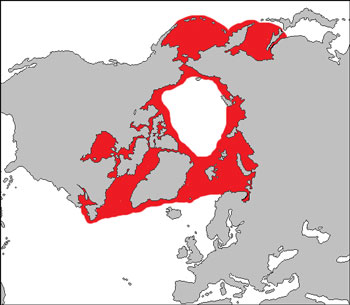 Bearded Seal Range Map (Arctic Waters)