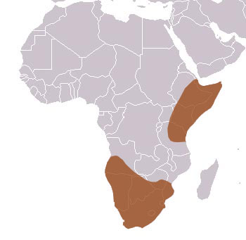 Black-Backed Jackal Range Map (East & Southern Africa)