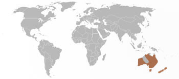 Black Swan Range Map (Australia & New Zealand)