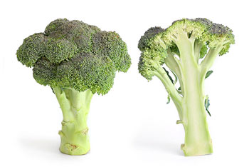 Broccoli
