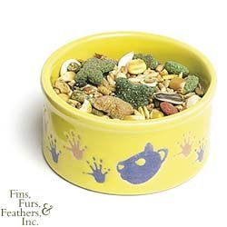 Ceramic Feeder for Hamsters