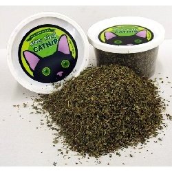Crazy Kitty Catnip