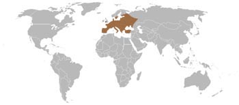 European Polecat Range Map (Europe)