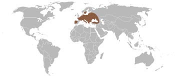 European Tree Frog Range Map (Europe & West Asia)