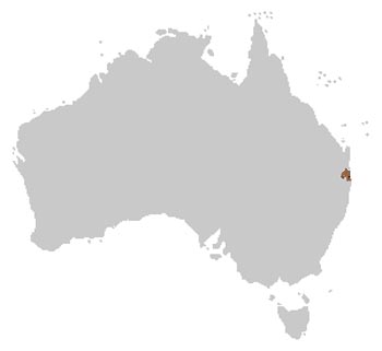 Fleay's Barred Frog Range Map (Eastern Australia)