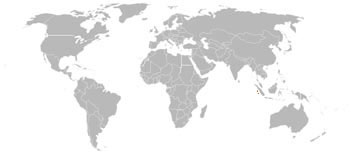 Golden-Bellied Tree Shrew Range Map (Indonesia)