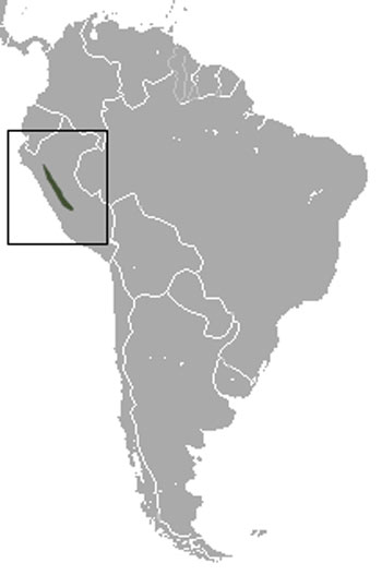 Hairy Long-Nosed Armadillo Range Map (South America)