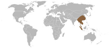 Hog Badger Range Map (S & E Asia)
