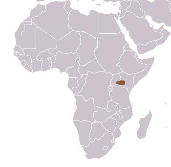 Jackson's Mongoose Range Map (Africa)