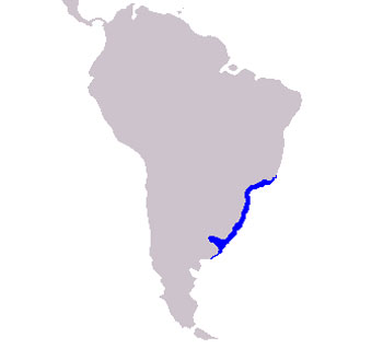 La Plata Dolphin Range Map (Coastal Waters - Atlantic Ocean)